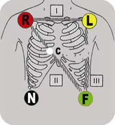 product-1-1 image.png