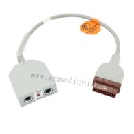 Dual Channel Temperature Adapter Compatible With GE