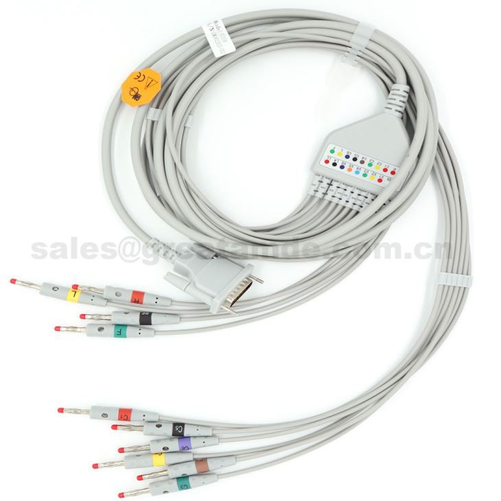 10 Lead EKG Cable with Leadwires for Schiller
